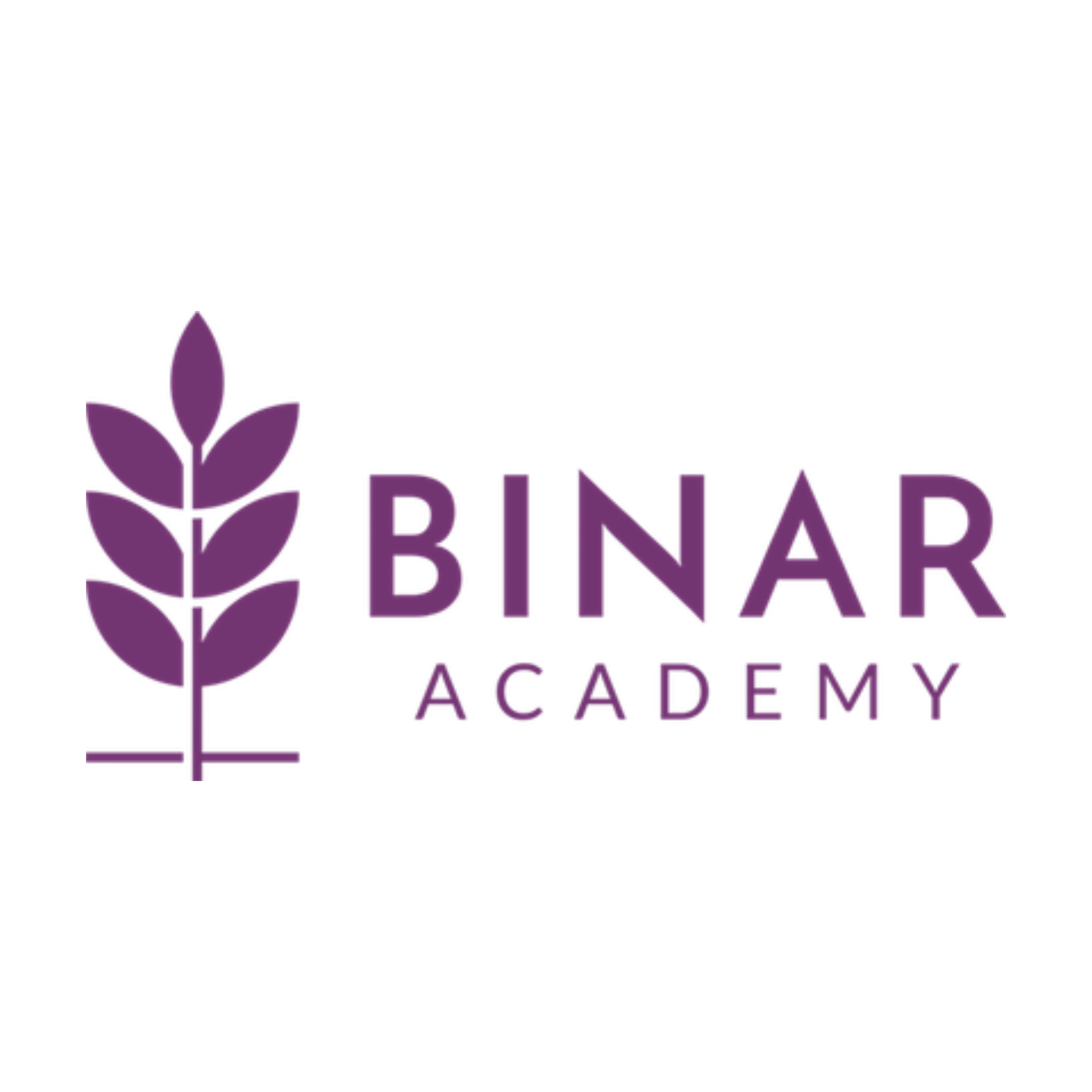 Binar Academy