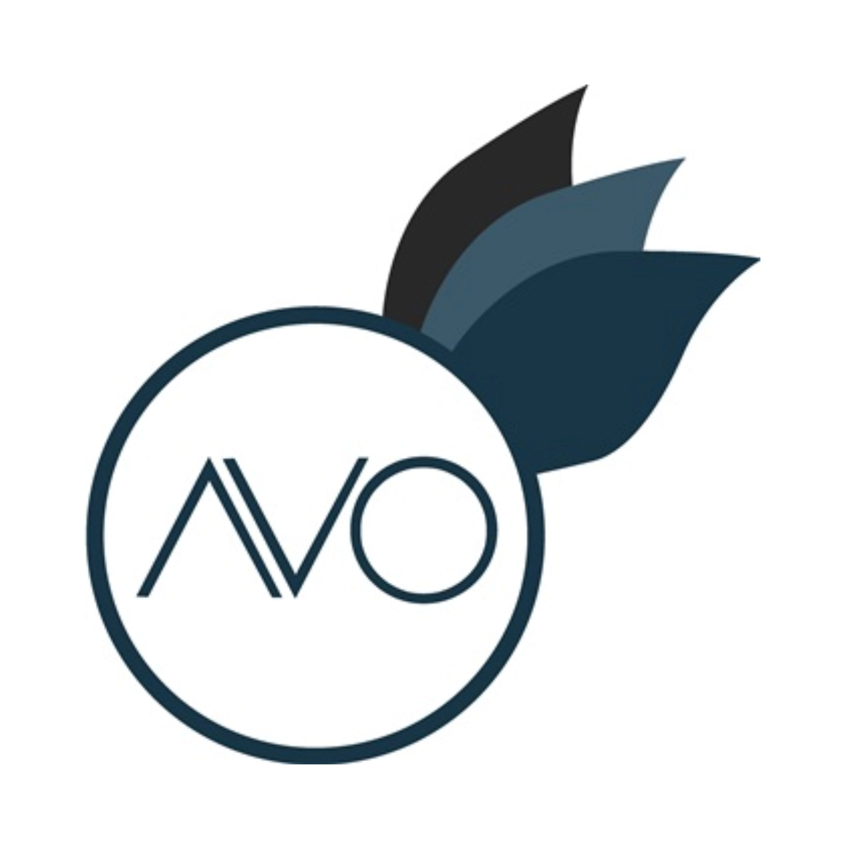 AVO Innovation Technology