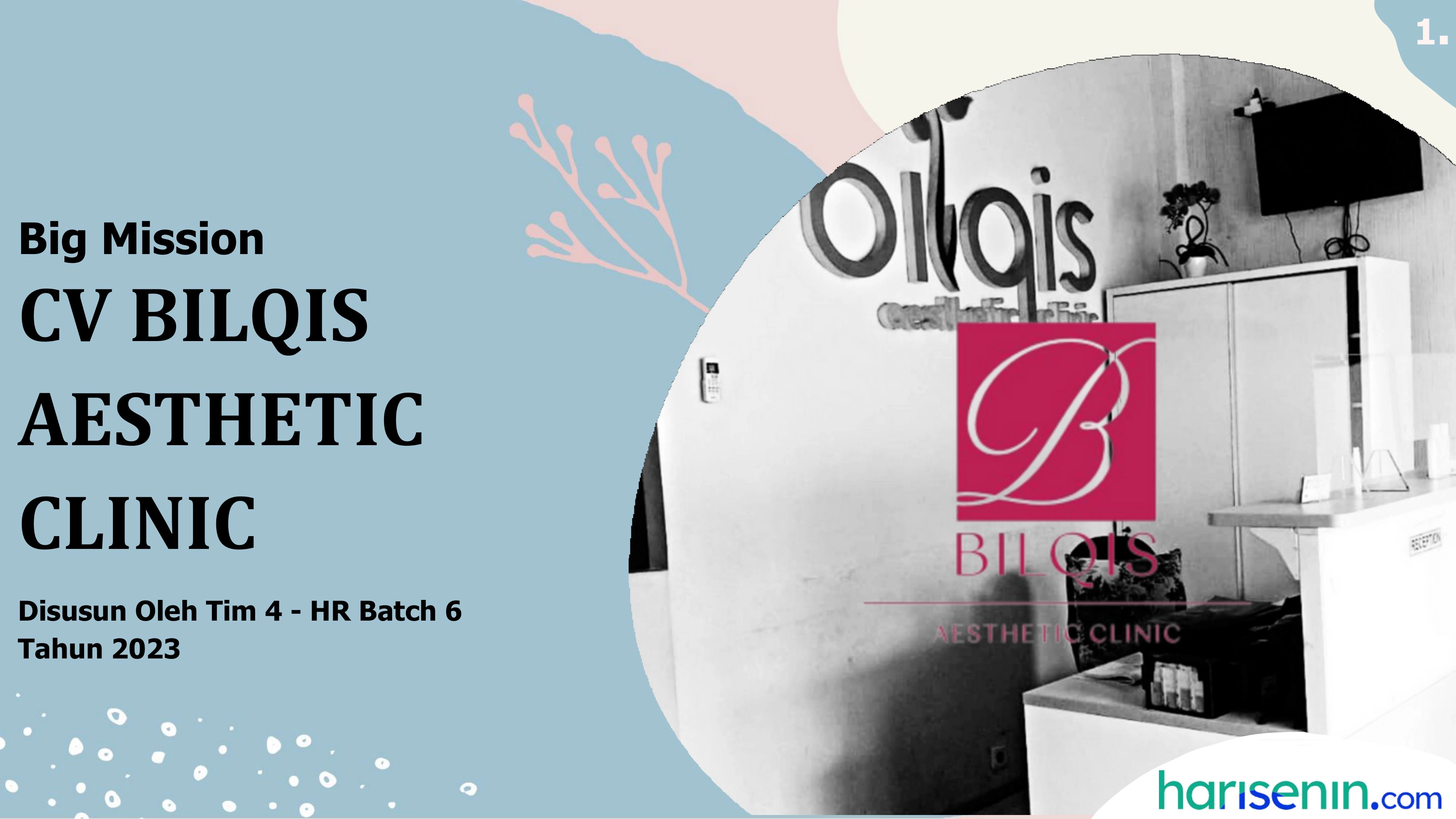 CV. BILQIS AESTHETIC CLINIC
